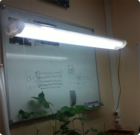 Підключення ламп, переробка світильників