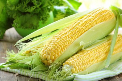 Кукурудза: опис рослини