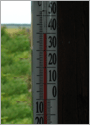 Ось уже два літа поспіль у нас стовпчик термометра нерідко добирається до сорокаградусної позначки
