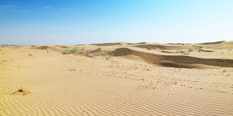 Більше половини території Узбекистану займають пустелі: Кизилкум, пустельне плато Устюрт і утворилася на колишньому дні Аральського моря пустеля Аралкум