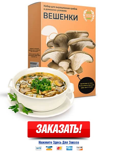 Купити грибницю гливи за недорогою ціною від 69 до 1 620 рублів